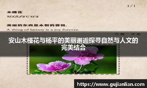 安山木槿花与杨平的美丽邂逅探寻自然与人文的完美结合